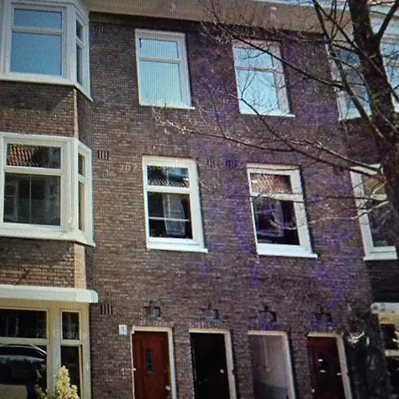 In Het Centrum Zxz Daire
